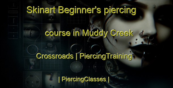 Skinart Beginner's piercing course in Muddy Creek Crossroads | PiercingTraining | PiercingClasses | SkinartTraining-United States